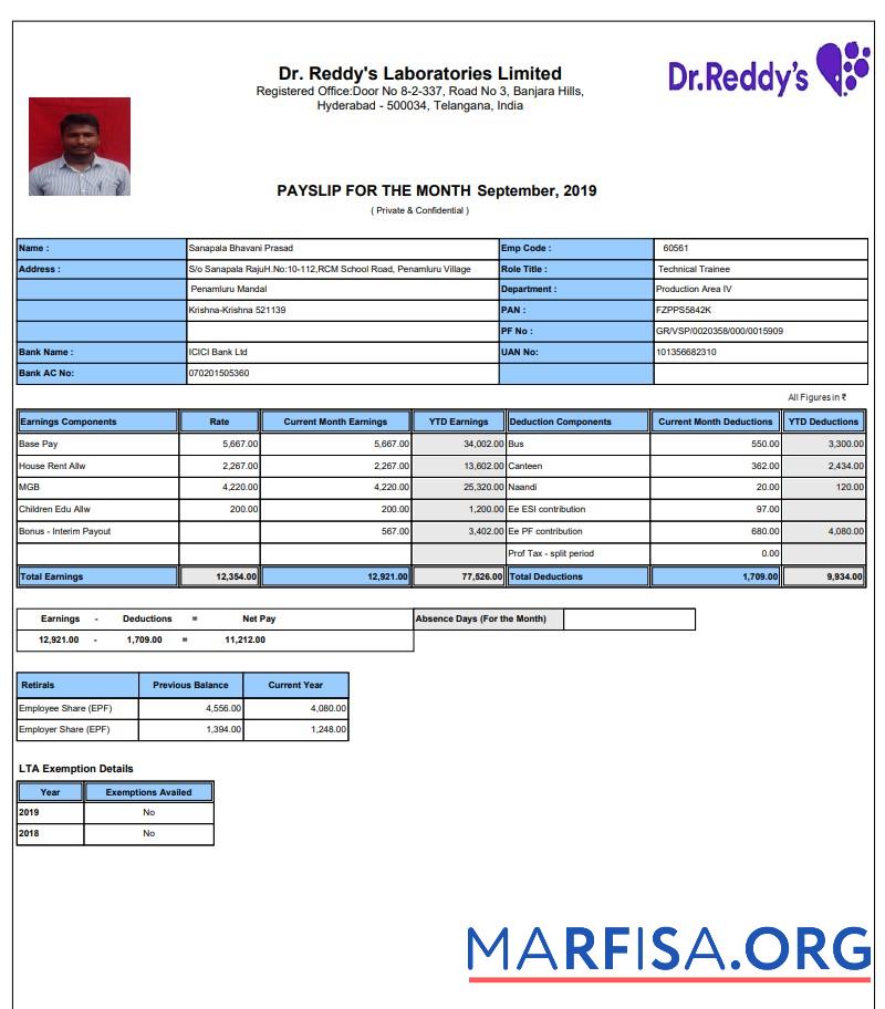 Downloadable Dr. Reddy's Laboratories Limited pay stub download for verification